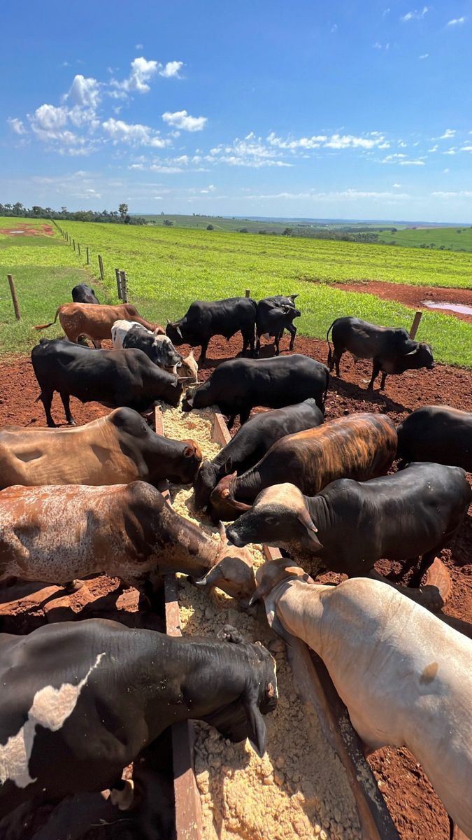Agricultural Heritage Tours