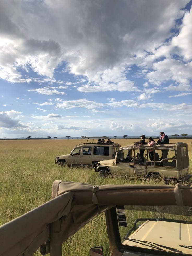 Safari game drive experience in Maasai Mara